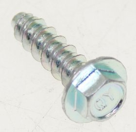 Screw - 43013497 Screw [Candy Hoover]